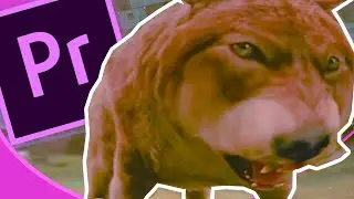 Do-it-yourself bloating videos in Premiere Pro! Inflate the Wolf!