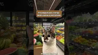 Шок контент😳 #viral #юмор #жиза #прикол #trending #мем #покупки #шортс