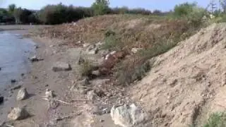 boy vs wild episode 8: Bermuda Triangle