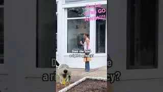 JLo tells Fan Go Away!