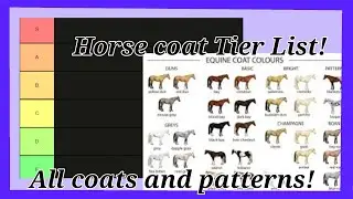 I Ranked ALL Horse Coats!