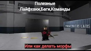 Полезные лайфхаки,баги и команды (Или как делать морфы) в Roblox: SCP Roleplay