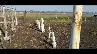 625.Зима была дождливая,вода стоит до сих пор😱