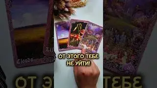 ОТ ЭТОГО НЕ УЙТИ❗️