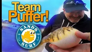 Fishing Team Puffer! In March on Oak Island, NC