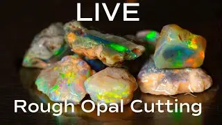 LIVE rough opal cutting from BOD headquarters