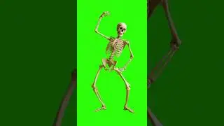 Dancing Skeleton (Green Screen) - Funny Chroma Key Effect