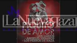 Piquito de Amor - Nueva Raza (Los Lgidos, Angeles Urbanos y Los Perros de Raza)