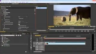 How to Add Video Effects in Adobe Premiere
