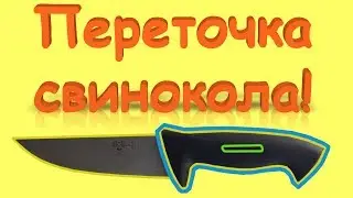 ПЕРЕТОЧКА СВИНОКОЛА.