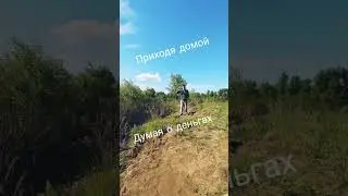 А вы как часто думаете о работе в пельменной? #юмор