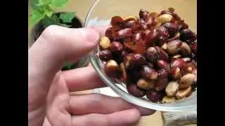 ültje Bolivianische Erdnüsse Ur Erdnuss Bolivian Peanuts
