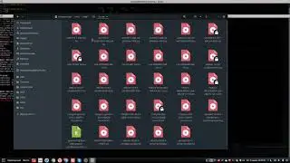 Установка сервера Calculate на btrfs, авто-разметка и две ОС на одном диске.