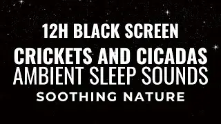 12 Hours of Relaxing Countryside Sounds 🌿 | Crickets and Cicadas | Peaceful Ambient Sleep Aid