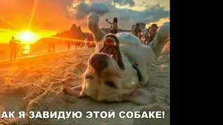 Микс! Приколы из интера!
