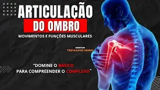 ARTICULAÇÃO DO OMBRO: Movimentos e funções musculares. Método D.A.M