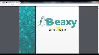 Смотрим Whitepaper Beaxy