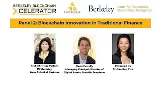 Panel 2: Blockchain Innovation in Traditional Finance