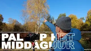 BOSFOTOGRAFIE op het MIDDAGUUR met STAALBLAUWE HEMEL.