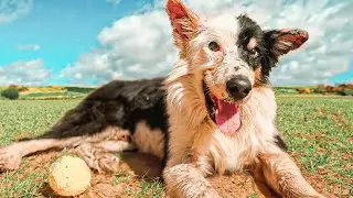 La vida es maravillosa!