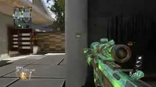 Black Ops II~Raid WallBang
