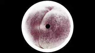 Sage Introspekt - Injections
