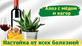 Настойка из кагора, алоэ, мёда/ Здравушка