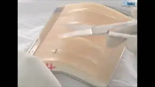 Suturing Techniques