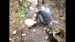 All Hope Is Lost