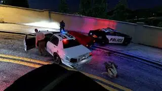 GTA 5 Cold Blooded