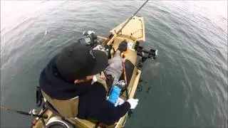 Cabrillo Beach 16lb Halibut