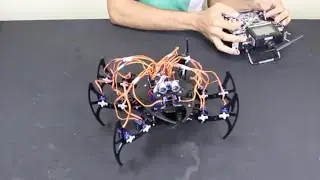 Making an insect robot with arduino Format 2 - Insane Projects #5