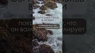 Обратная связь в любви 