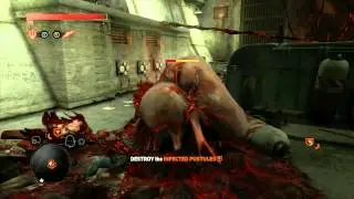 Prototype 2 - Red - Collectibles (Lairs)
