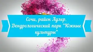 Сочи, район Адлер. Поход в дендрологический парк Южные культуры. Что посадила в парке Елена Летучая.