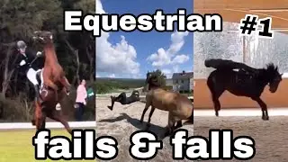 Equestrian fails & falls #1 😱😵