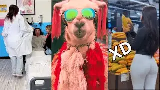 VIDEO VIRAL DE RISA - SI TE RÍES OTRA VEZ FRACASAS - [999.99 IMPOSIBLE NO REÍRSE] #21