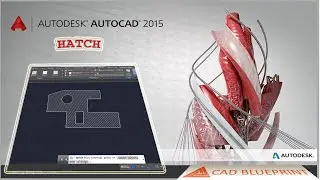 Hatch