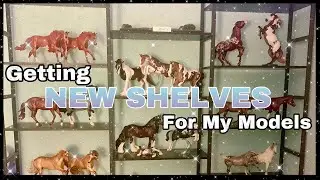 Getting NEW SHELVES For My Model Horses!! Breyer and Schleich