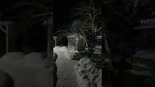 Петарда атас