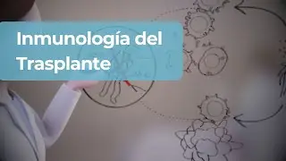 ¿Cómo Funciona el Rechazo y la Compatibilidad de Órganos?