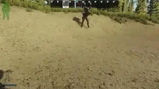 Веселый баг в таркове