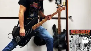 Neck Deep - In Bloom  ||  Bass Cover