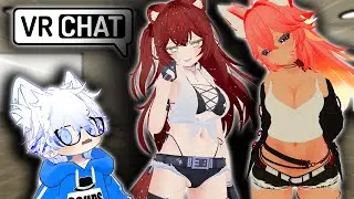 Dog Gets Bullied In VRChat