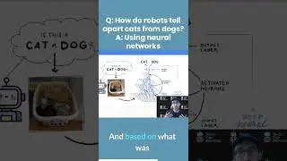 How can robots tell apart cats from dogs? #shorts