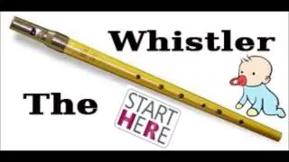 Pop Goes the Weasel (Tin Whistle Cover - with Notes)
