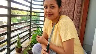 ছুটির দিনের রান্নাবান্না,ঘুরাঘুরি। ফাহমিদা আফরিন।