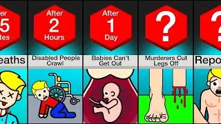 Timeline If You Stop Moving, You Die 2024
