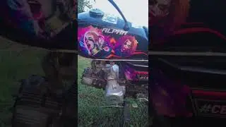 альфа