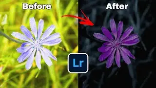 Lightroom photo editing tutorial | moody flower editing tutorial | 